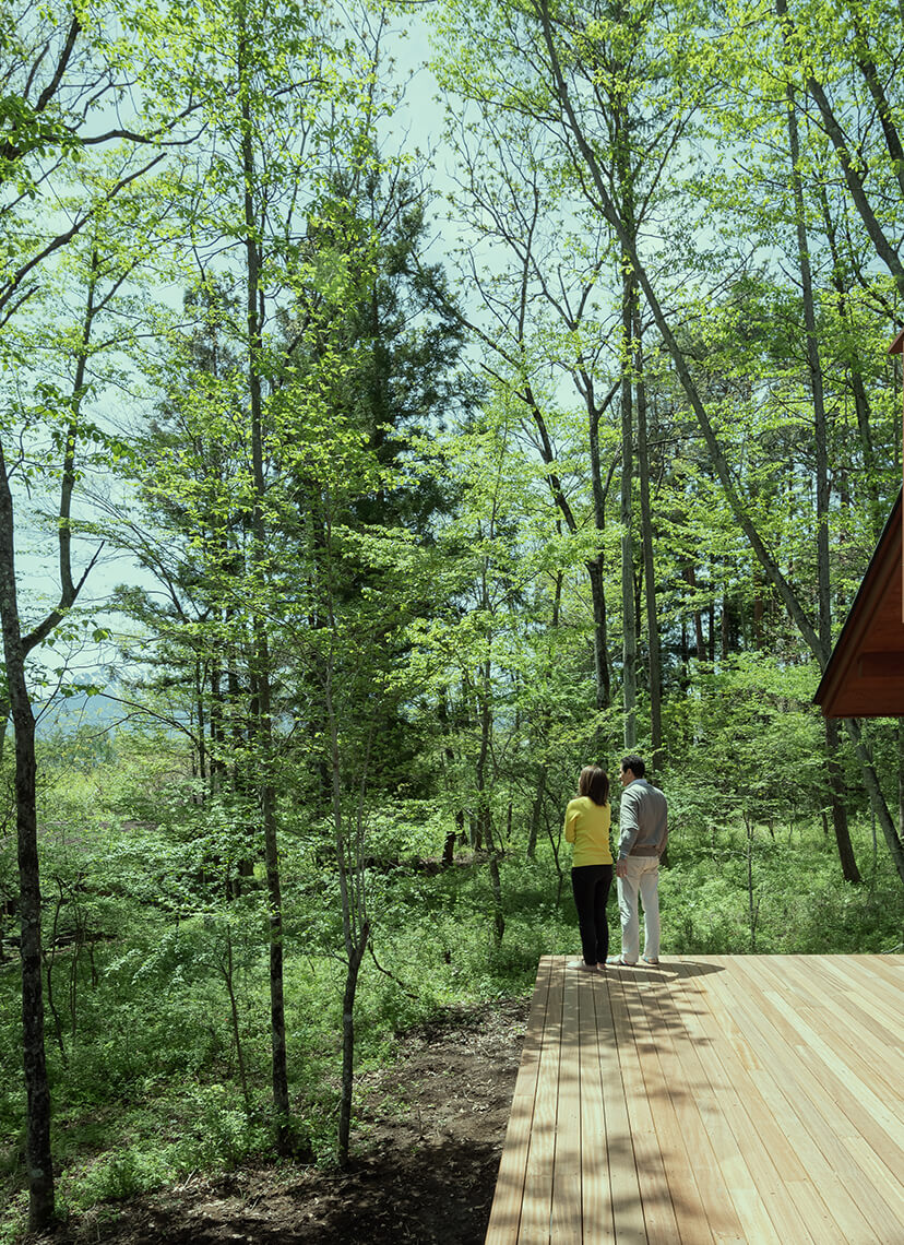 メインスライド1画像